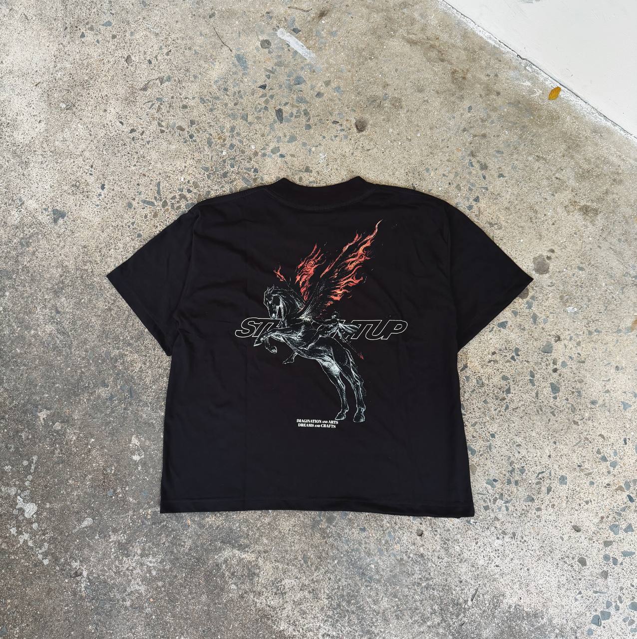 Straightup infernal Pegasus tee