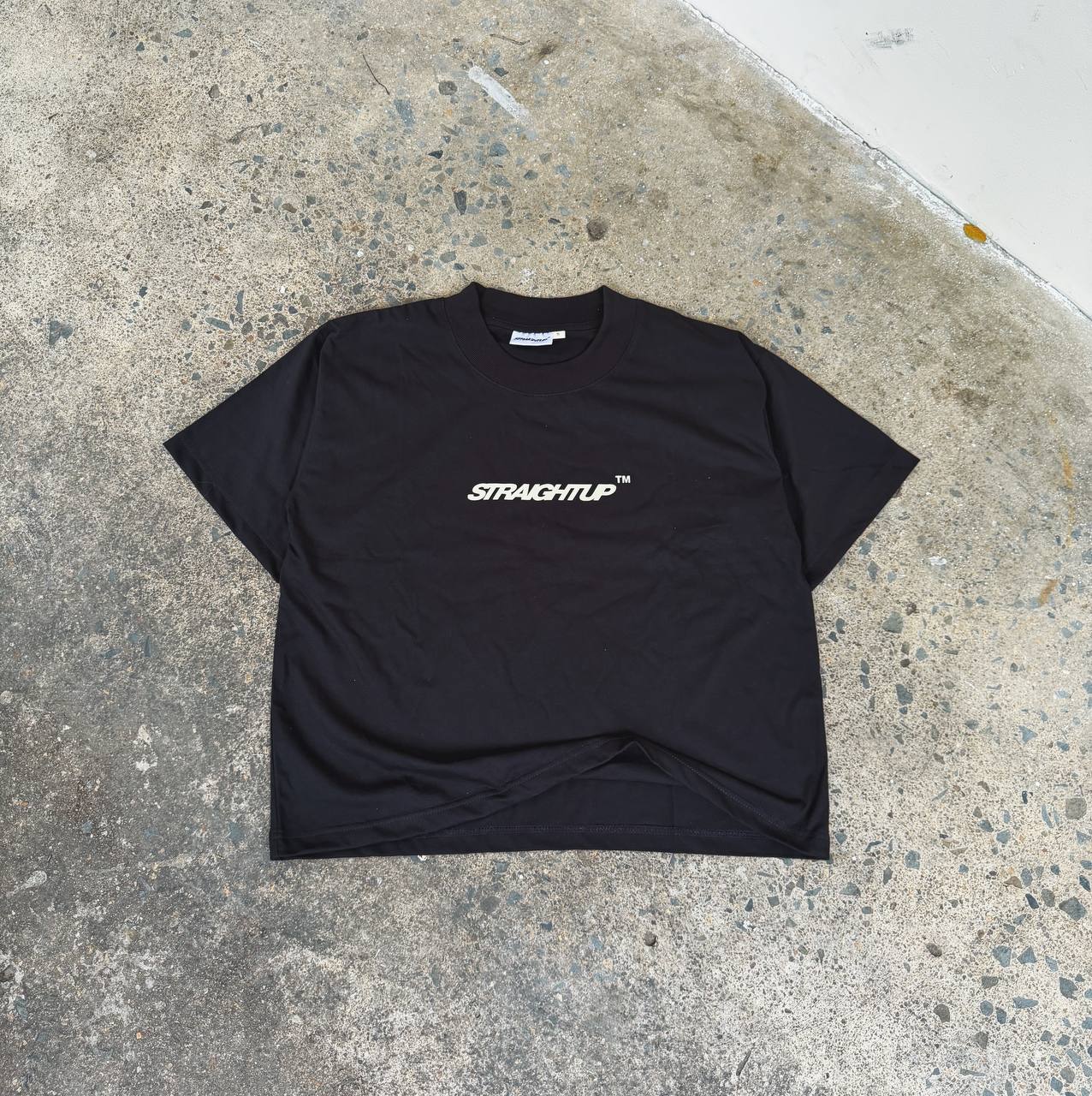 Straightup infernal Pegasus tee